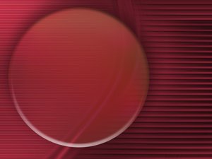 企业新手对比评测：企业级HR软件对比